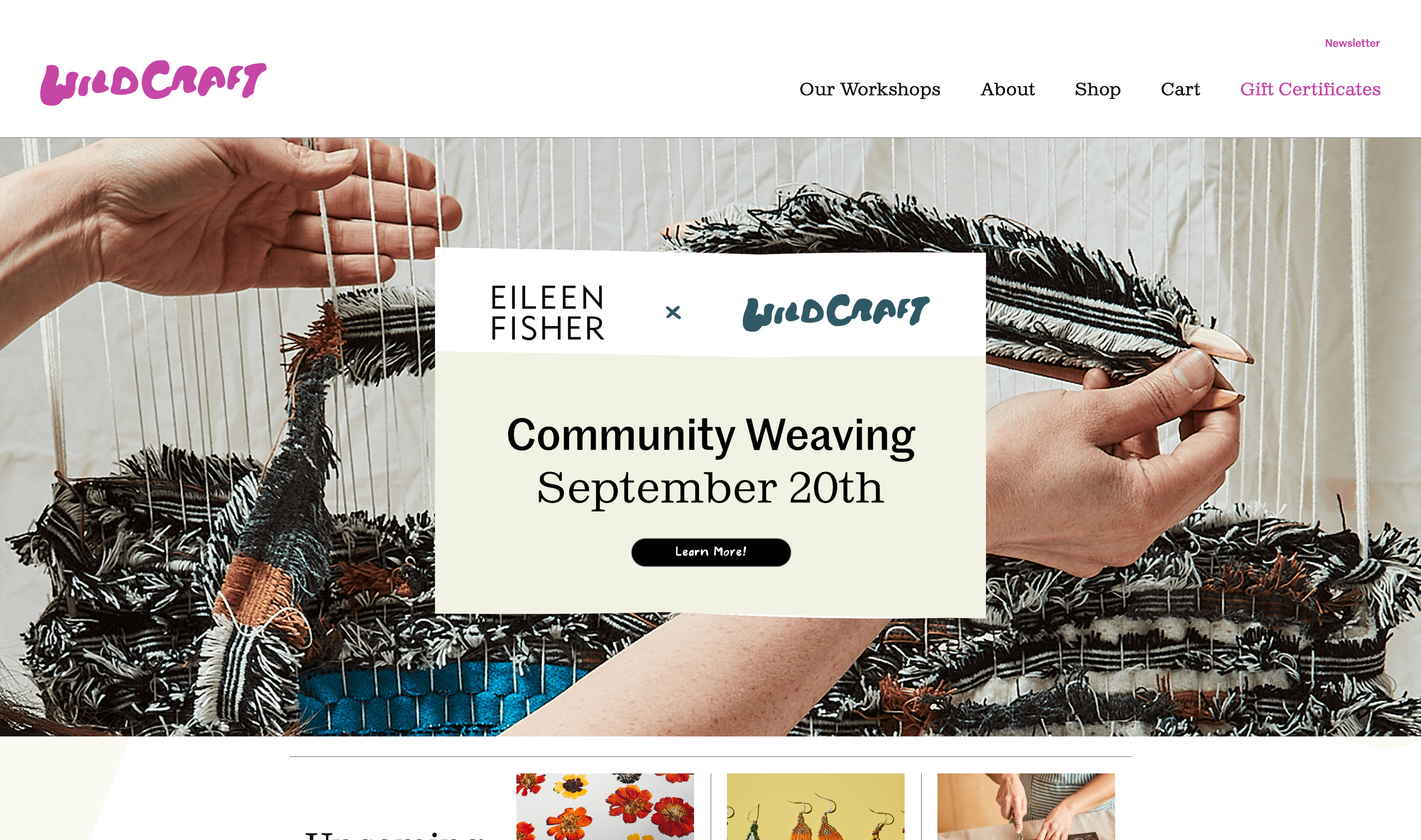 screenshot of the Wildcraft Studio School homepage