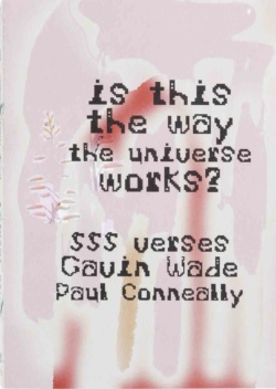 Book cover for Is this the way the universe works? by Gavin Wade and Paul Conneally